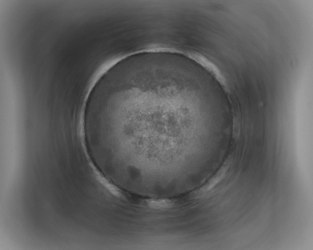 X0000112731231200908201319