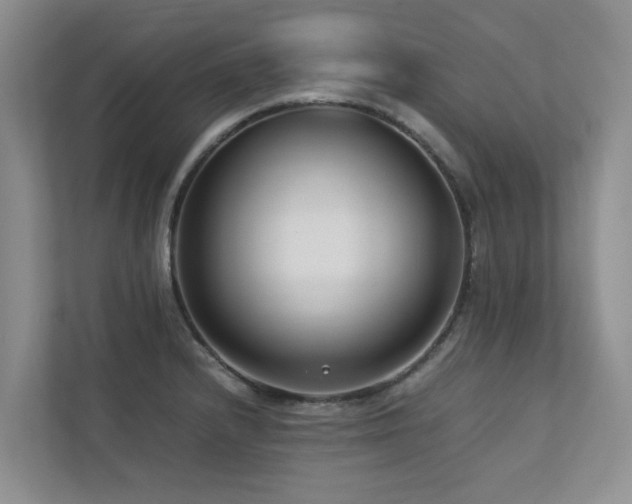 X0000112731232200908201319