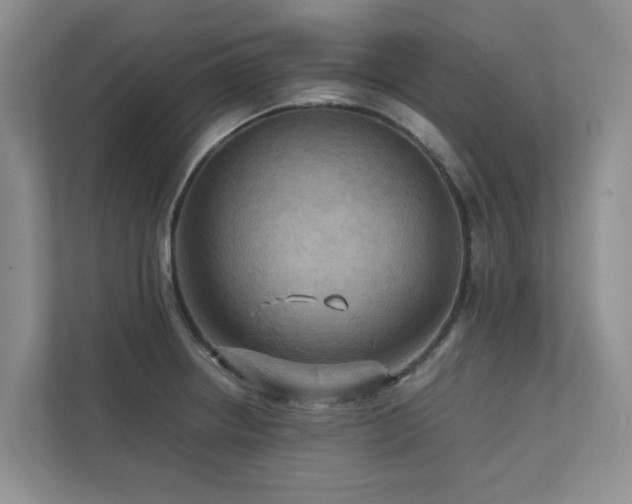 X0000112731234200908201319