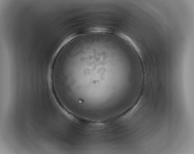 X0000112731235200908201319