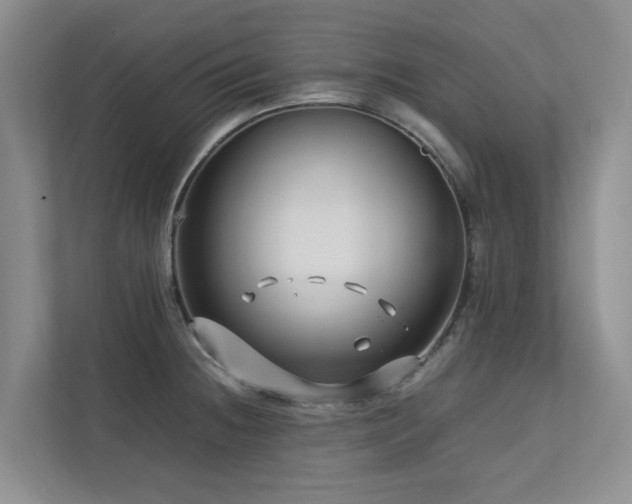 X0000112731236200908201319