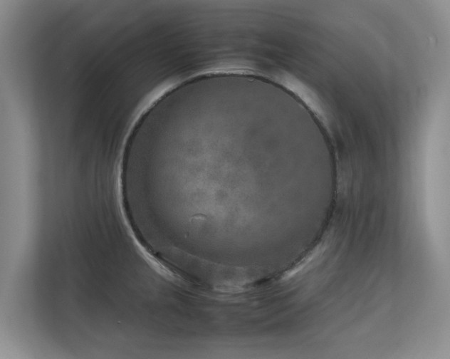 X0000112731237200908201319