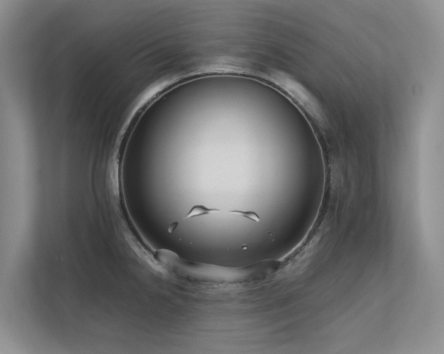 X0000112731238200908201319