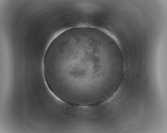 X0000112731239200908201319