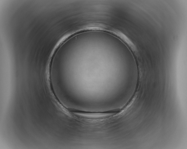 X0000112731240200908201319