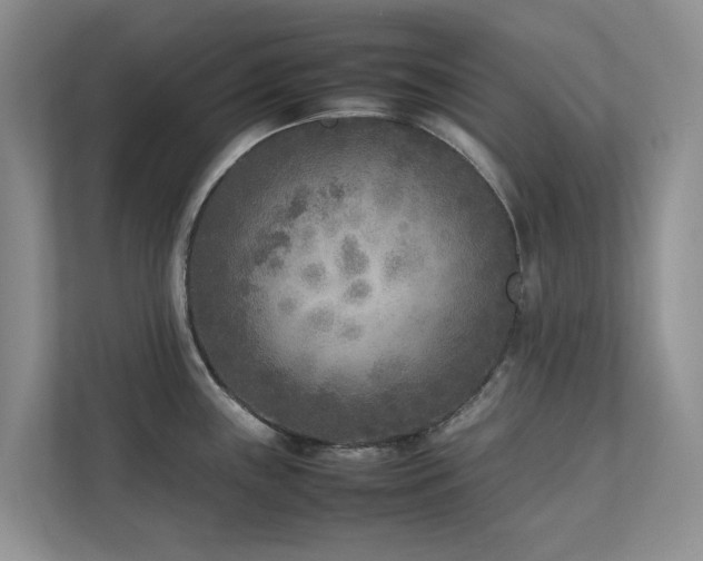 X0000112731243200908201319