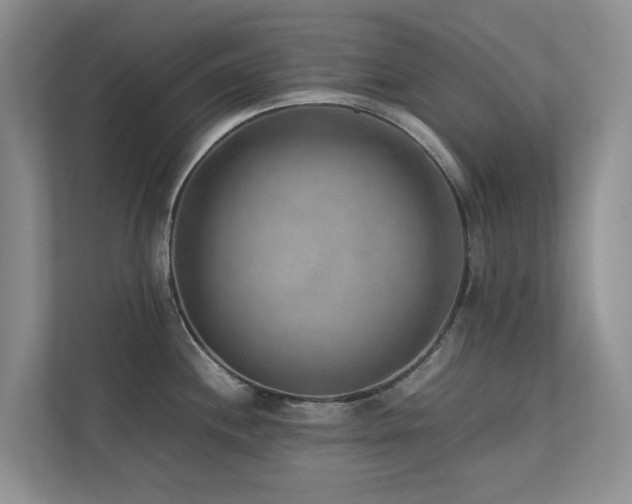 X0000112731244200908201319