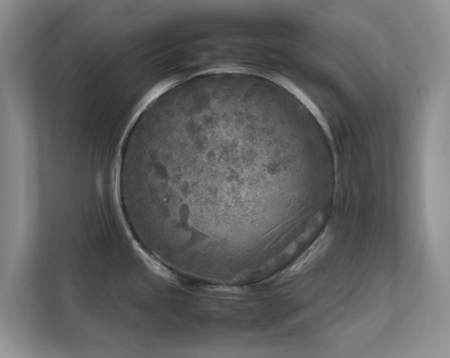 X0000112731245200908201319