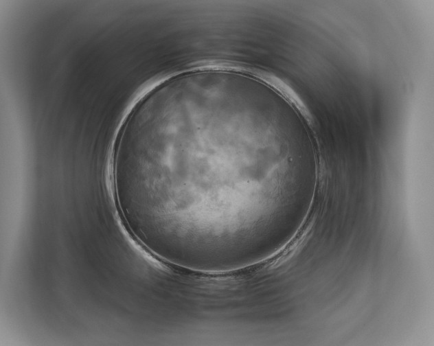 X0000112731247200908201319