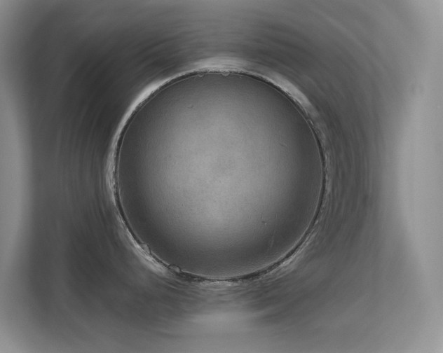 X0000112731248200908201319