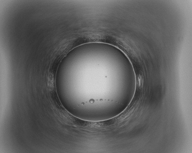 X0000112731251200908201319