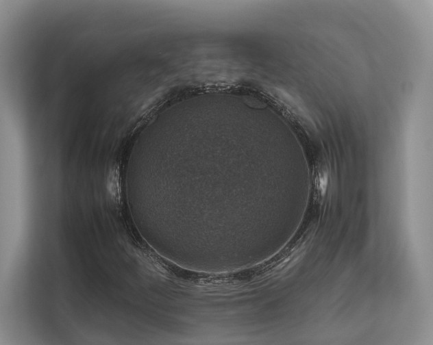 X0000112731252200908201319