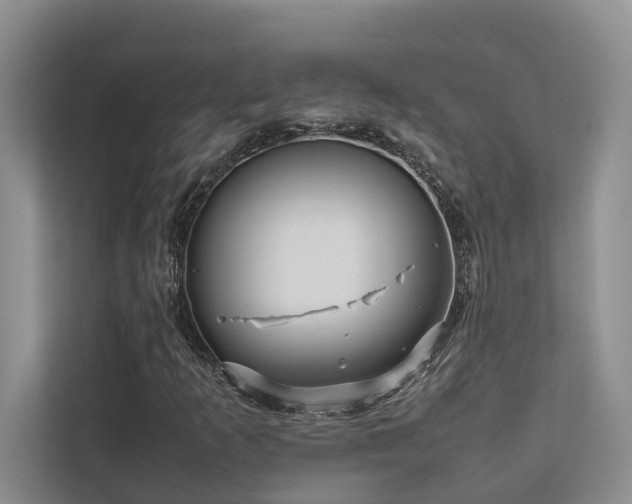 X0000112731253200908201319