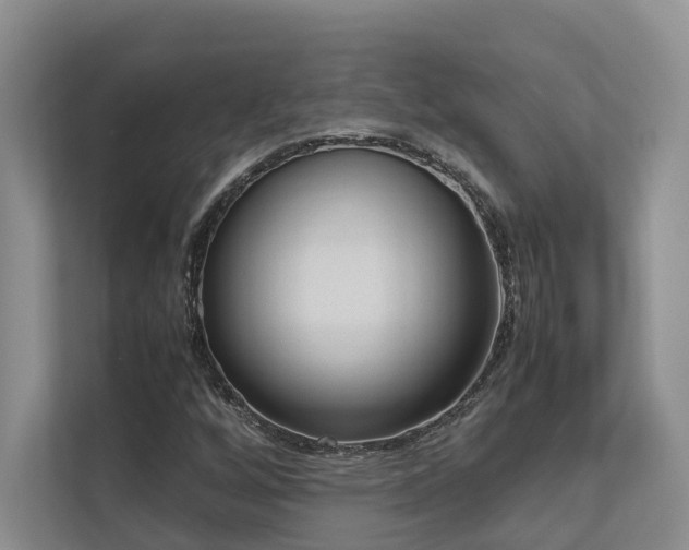 X0000112731256200908201319