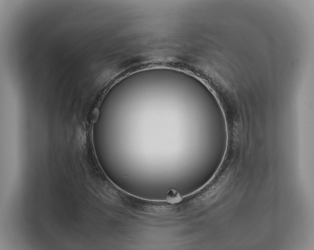 X0000112731257200908201319