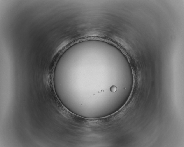 X0000112731258200908201319