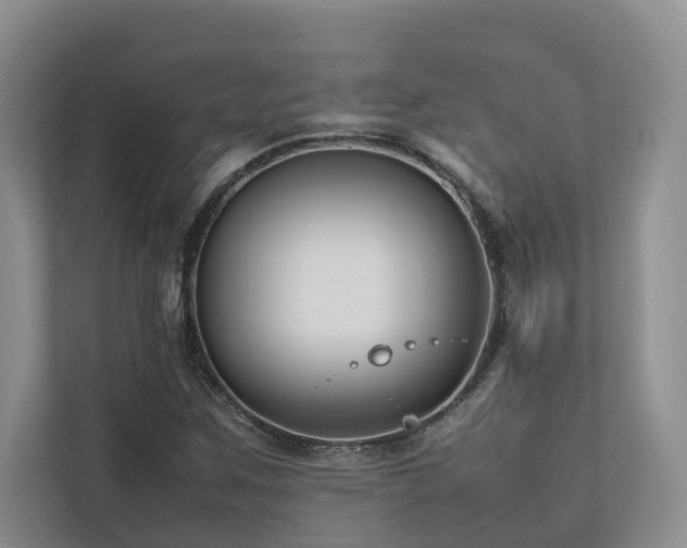 X0000112731259200908201319