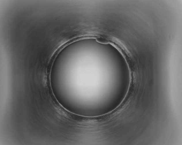 X0000112731260200908201319