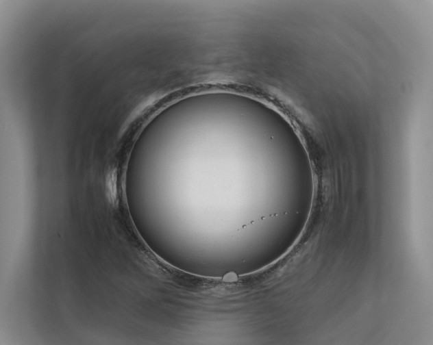 X0000112731262200908201319