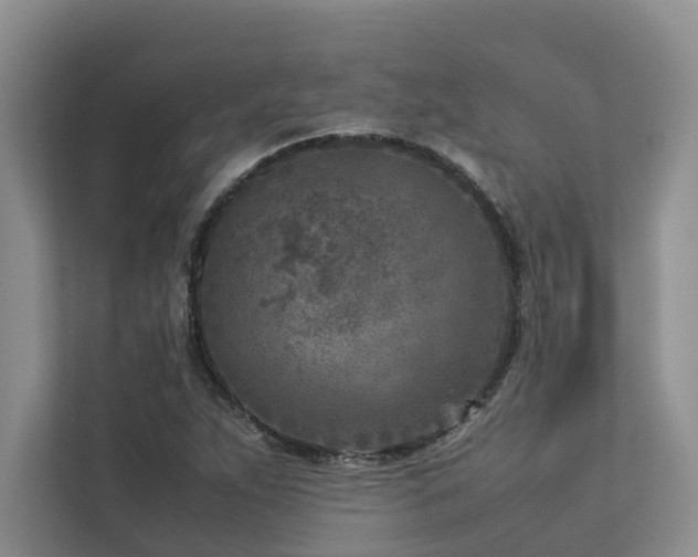 X0000112731263200908201319