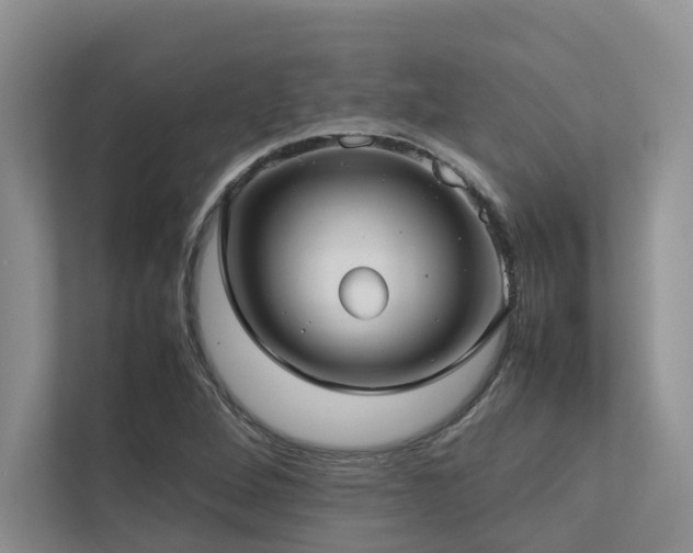 X0000112731264200908201319