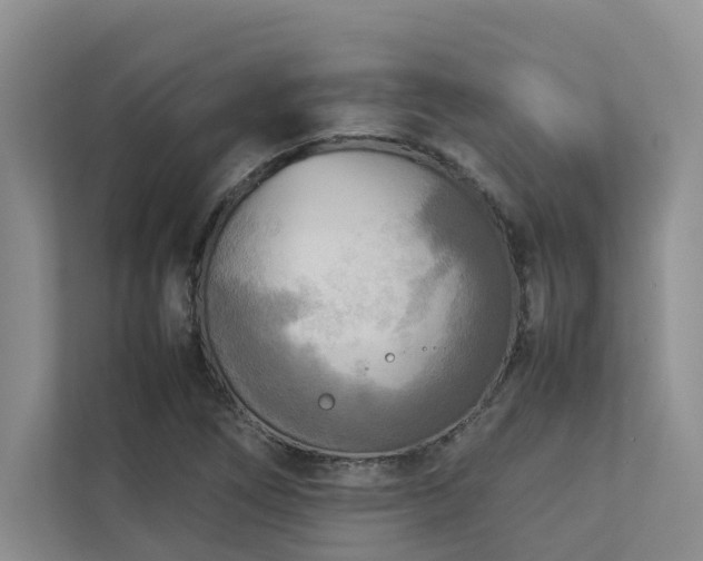 X0000112731266200908201318