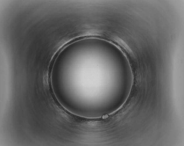 X0000112731268200908201318