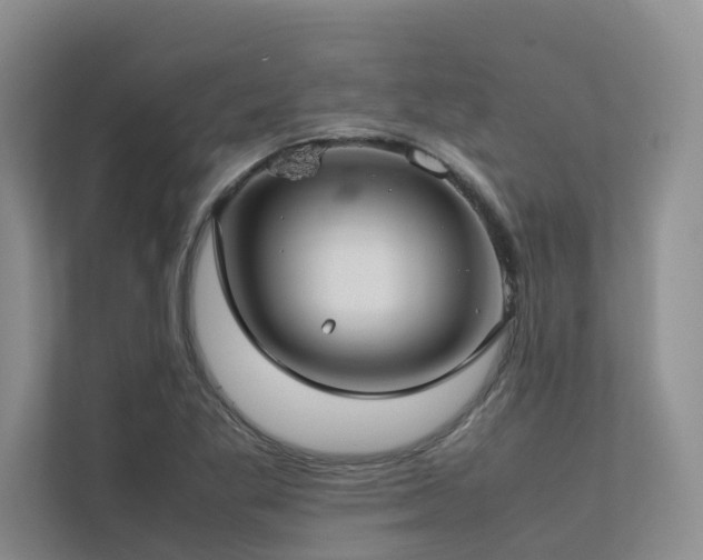 X0000112731269200908201318