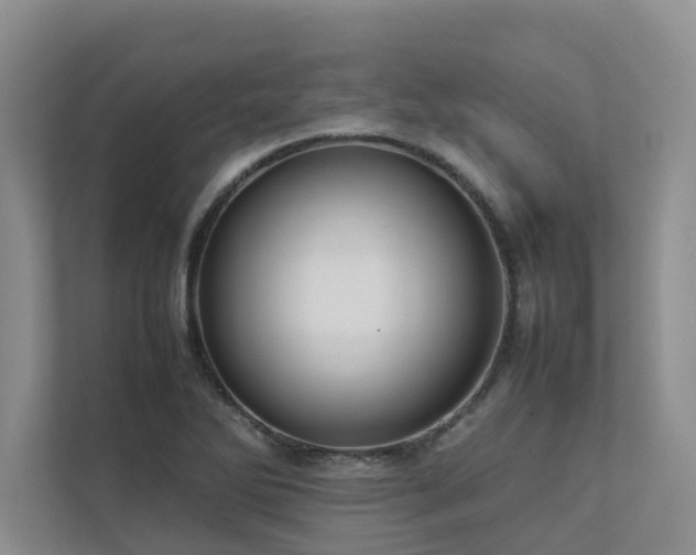 X0000112731270200908201318