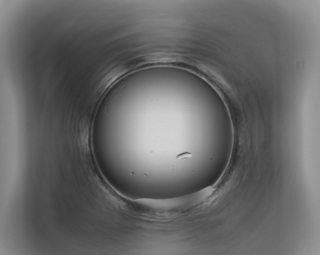 X0000112731273200908201318