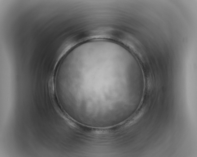 X0000112731274200908201318