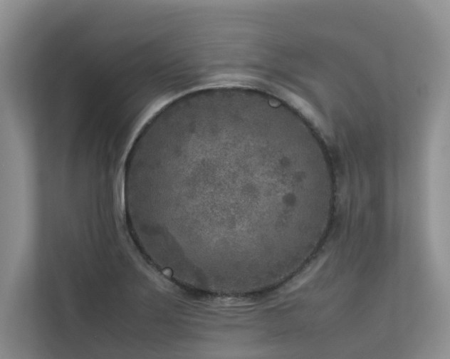 X0000112731275200908201318