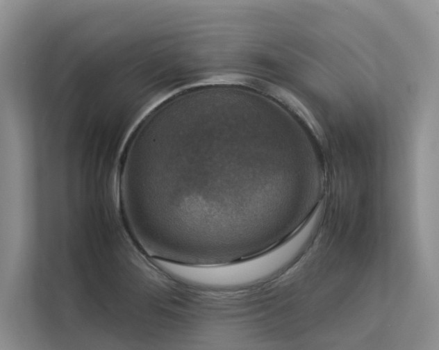 X0000112731276200908201318