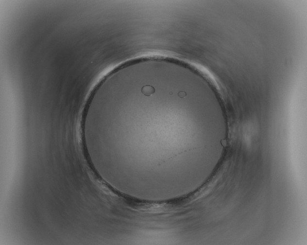 X0000112731279200908201318