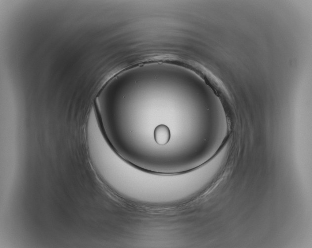 X0000112731281200908201318