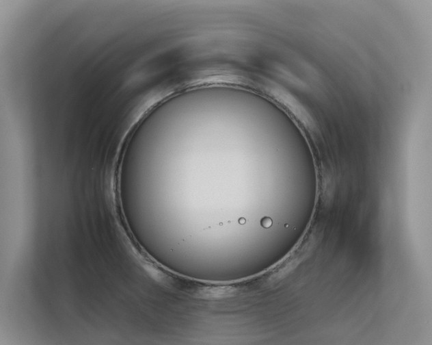 X0000112731282200908201318