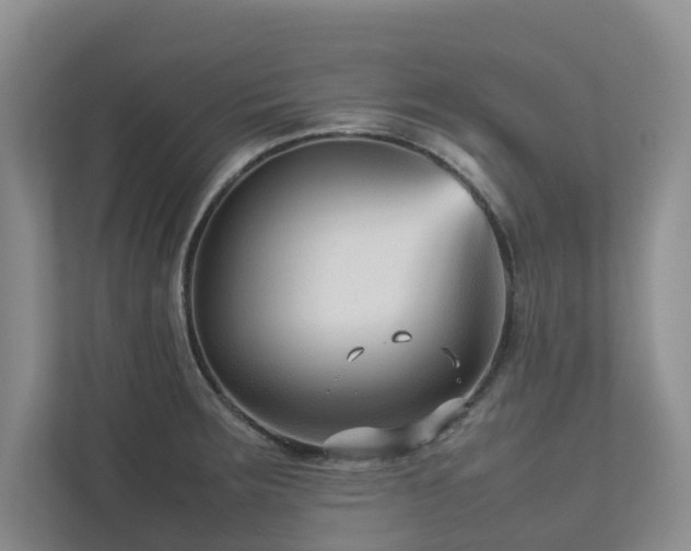 X0000112731283200908201318