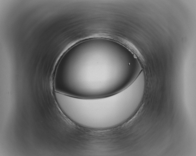 X0000112731284200908201318