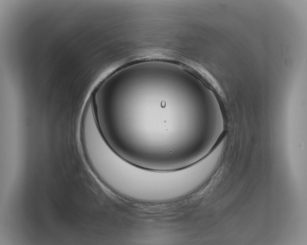 X0000112731285200908201318