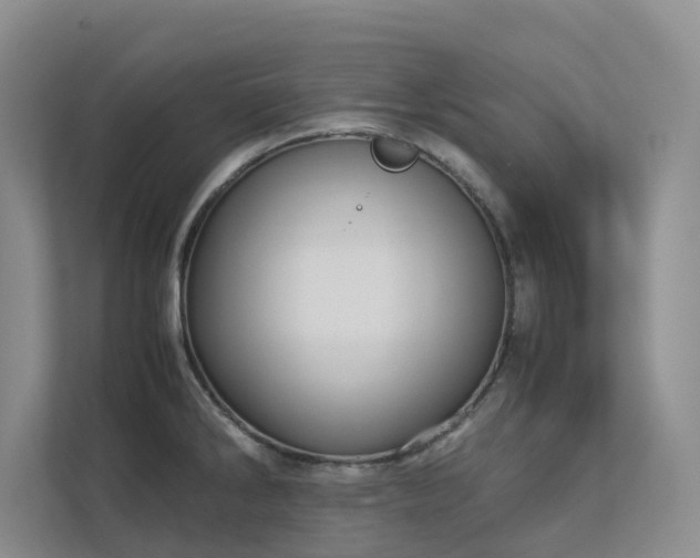 X0000112731286200908201318