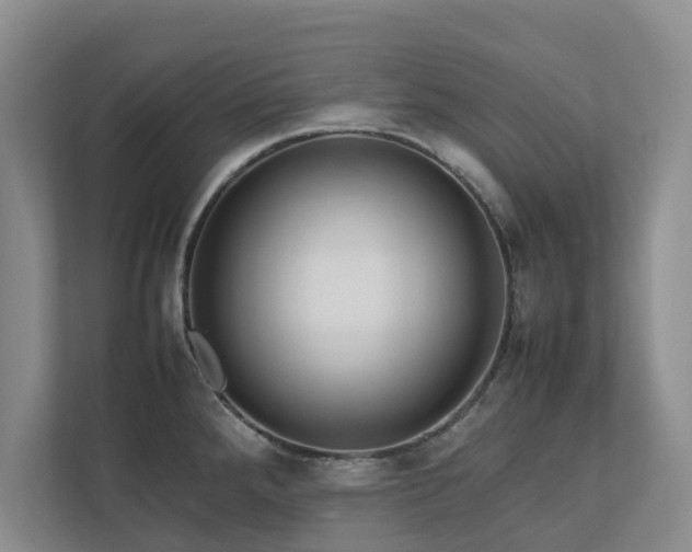 X0000112731288200908201318