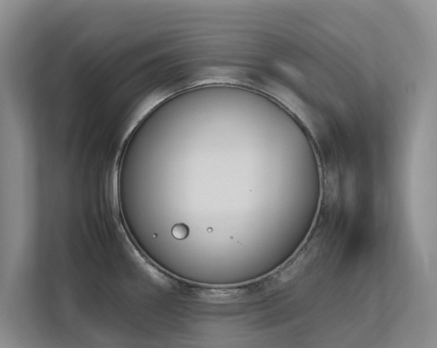 X0000112731290200908201318