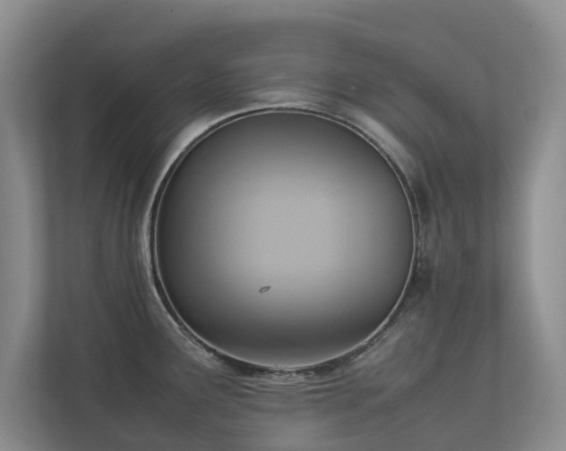 X0000112731291200908201318