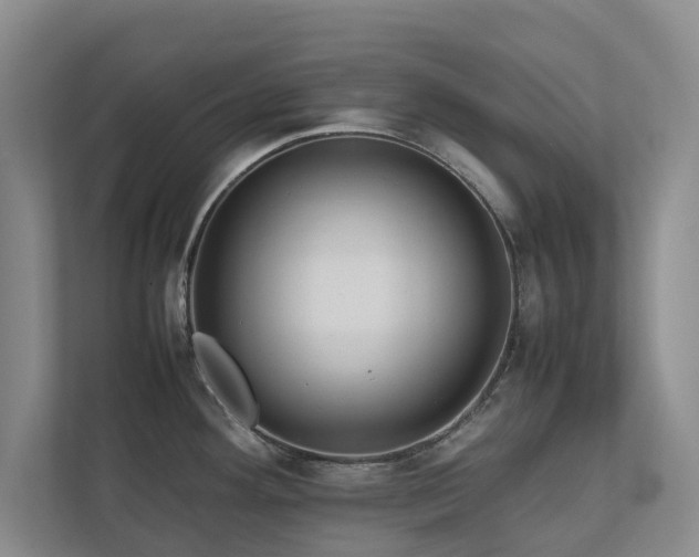 X0000112731292200908201318