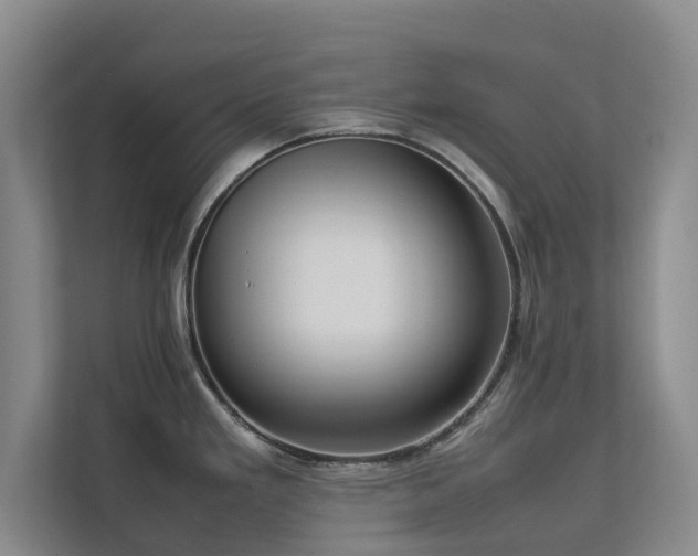 X0000112731293200908201318