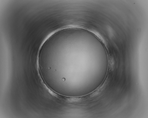 X0000112731294200908201318