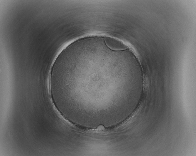 X0000112731295200908201318