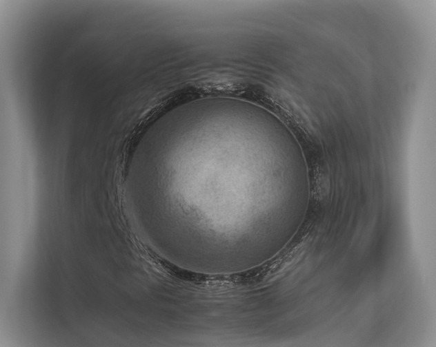 X0000112731297200908201317