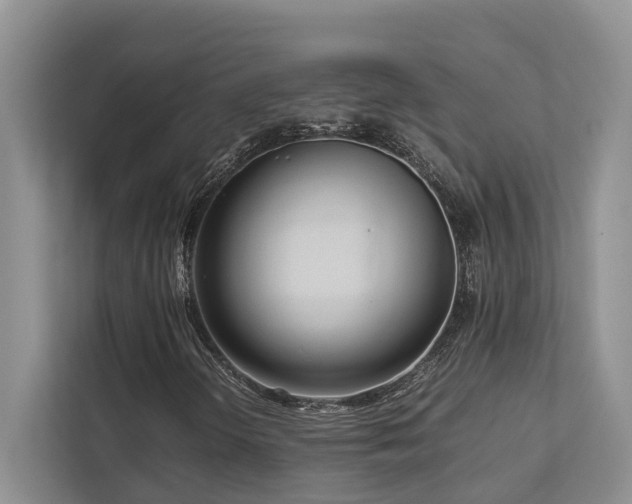 X0000112731298200908201317