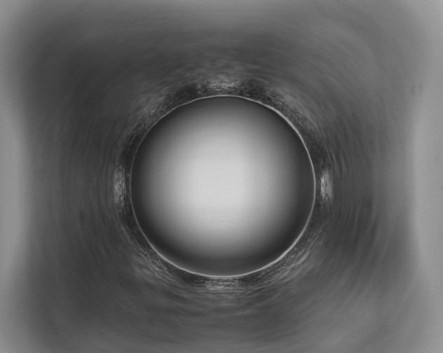 X0000112731299200908201317